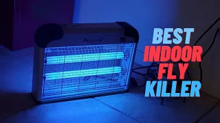 Best Indoor Fly Killer | Indoor Fly Killer (Reviews & Buying Guide)