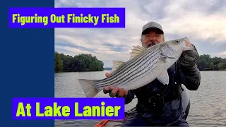 Figuring Out Finicky Fish At Lake Lanier