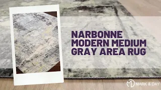 Narbonne Modern Medium Gray Area Rug