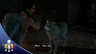 Until Dawn (Secret Trophy) The Skilful Wolf Man - Kept the wolf alive throughout the Sanatorium