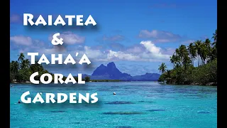 Raiatea & Taha'a Coral Gardens - French Polynesia