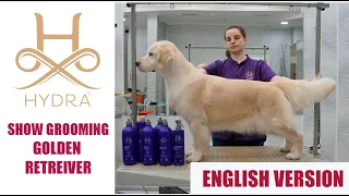 Show Grooming for Golden Retriever with #Hydra