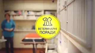 Способи та засоби боротьби проти кліщів і зовнішніх паразитів | Ветеринарні поради 1 Серія | Фауна