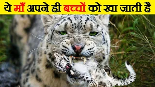 भगवान ऐसी माँ किसी को ना दे | Worst Animal Parents | Most Dangerous Animal Parents in the Wild