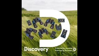 Levenhuk Discovery Gator Binoculars Review