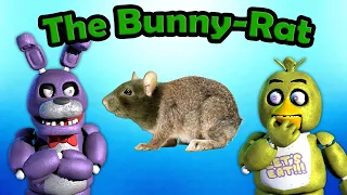 Freddy Fazbear and Friends "The Bunny-Rat"