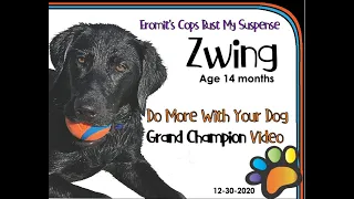 Do More With Your Dog DMWYD Grand Champion Title Zwing