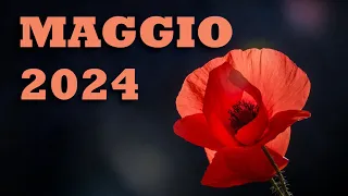 Maggio 2024. La lettura del mese. Lettura mensile.