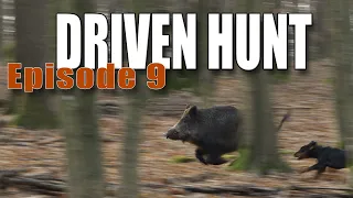 DRIVEN HUNT EPISODE 9 - Wild Boar & Deer in Slovakia