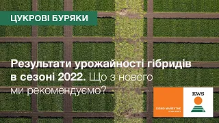 Результати урожайності цукрових буряків KWS в сезоні 2022. Що з нового рекомендуємо? | КВС-УКРАЇНА