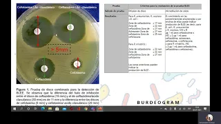 Betalactamasas de espectro extendido