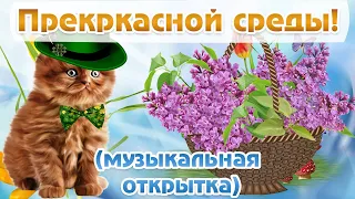 Удачной Среды! Перкарасного Настроения! Красивое пожелание. Музыкальная открытка.