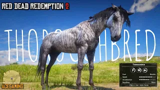 Easiest way to get the Fastest Horse early in chapter 2 | Brindle Thoroughbred | RDR2 | PS4 Slim