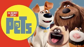 The Secret Life Of Pets REAL LIFE All Characters | Kiddopedia