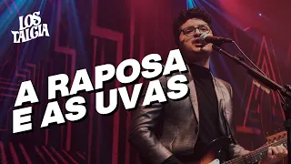 A raposa e as uvas - Lostalgia (Cover)