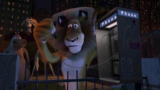 DreamWorks Madagascar | We Gotta Call Someone! | Madagascar Movie Clip