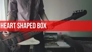 Nirvana - Heart Shaped Box (Bass cover)