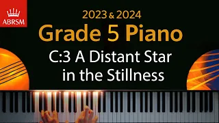 ABRSM 2023 & 2024 - Grade 5 Piano exam - C:3 A Distant Star in the Stillness ~ David A. T. Onac
