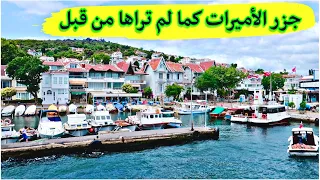 جولة ممتعة في جزر الأميرات (كيفية الوصول) Princess Islands Istanbul