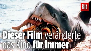 Der Sommer, als Steven Spielberg den Blockbuster erfand | 45 Jahre „Der Weiße Hai“