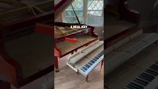 This Piano Has an Extra Key