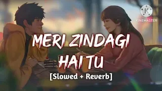 Meri Zindagi Hai Tu (slowed + reverb)