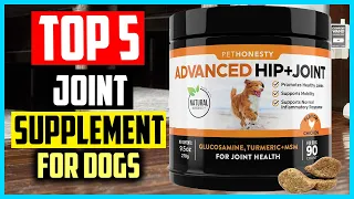 ✅Top 5 Best Joint Supplement For Dogs Reviews 2024