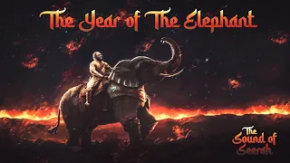 Chapter 10: Elephant in the Room [Audio Adventure of Prophet Muhammad]