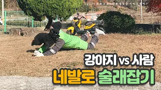 강아지 vs 사람의 네발로 술래잡기 [삐삐와 베짱이] ep.27