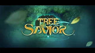 [Tree of Savior] Cryomancer Taoist Chronomancer HG 2F One Boss Without Res Sacrae