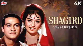 SHAGIRD 1967 Full Album JukeBox | Dil Wil Pyar Wyar | Woh Hai Zara Khafa | Joy Mukherjee, Saira Banu