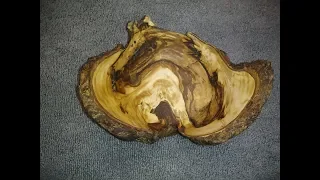 Wood Turning Sweet Gum Multi Branch Crotch Bowl