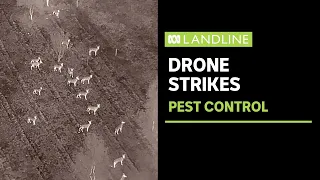 Drone pilots gaining the high ground in the fight against feral pests | Landline