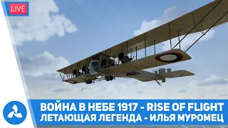 Легендарный «Илья Муромец» – Война в Небе 1917/Rise of Flight – VIRTAVIA №332