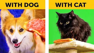 LIFE WITH DOG VS LIFE WITH CAT. Corgi life || Relatable facts by 5-Minute FUN
