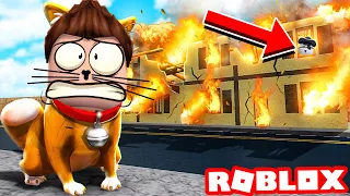 ЭТОТ КОТ УНИЧТОЖИЛ МИР – Bad Cat Roblox | Роблоксер Альберт