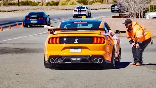 FORD TAKES THE 2020 GT500 TO THE TRACK! | *EXCLUSIVE*