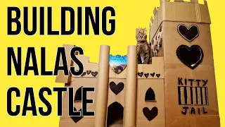 Nala's Cat Castle 🏰❤️