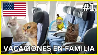 CAT MEMES: VACACIONES EN FAMILIA - PARTE 1✈️