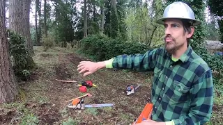 How To Use a Chainsaw Like a Boss