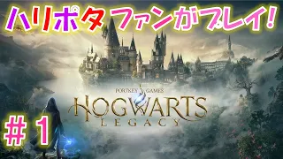 ホグワーツレガシー/Hogwarts Legacy/最新プレイ