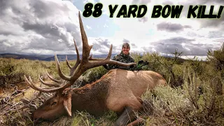 Josh's Bull of Lifetime! A 4 Year Quest For This Giant Bull | Bowmar Bowhunting |