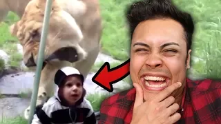 REACTING TO KIDS GETTING ATTACKED AT THE ZOO (WHY IS THIS FUNNY)
