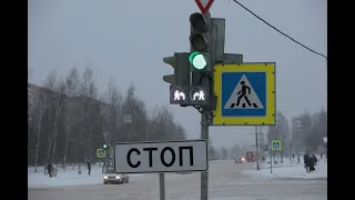 Белый сигнал появится на светофорах в городах России
