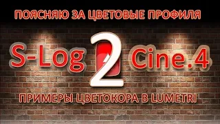 Подробно о S-Log  Как снимать, в чем преимущество и как красить. Часть 2