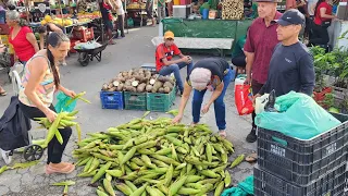 A FEIRA EM CUPIRA-PE É PREÇO BOM E FARTURA BRASIL!!!