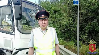 Сотрудники полиции устанавливают обстоятельства ДТП в Собинском районе Владимирской области