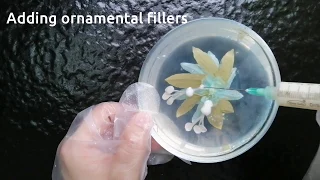 How to create 3D Jelly flowers - Step by step guide 手把手教你如何打3D果冻花. Kwiat 3D W Galaretce.