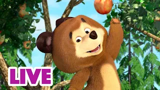 🔴 LIVE! Mascha und der Bär 🤪👣Etwas Chaos verursachen 🙈😉 Zeichentrickfilme für Kinder