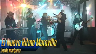 El Nuevo Ritmo Maravilla - Vuela mariposa